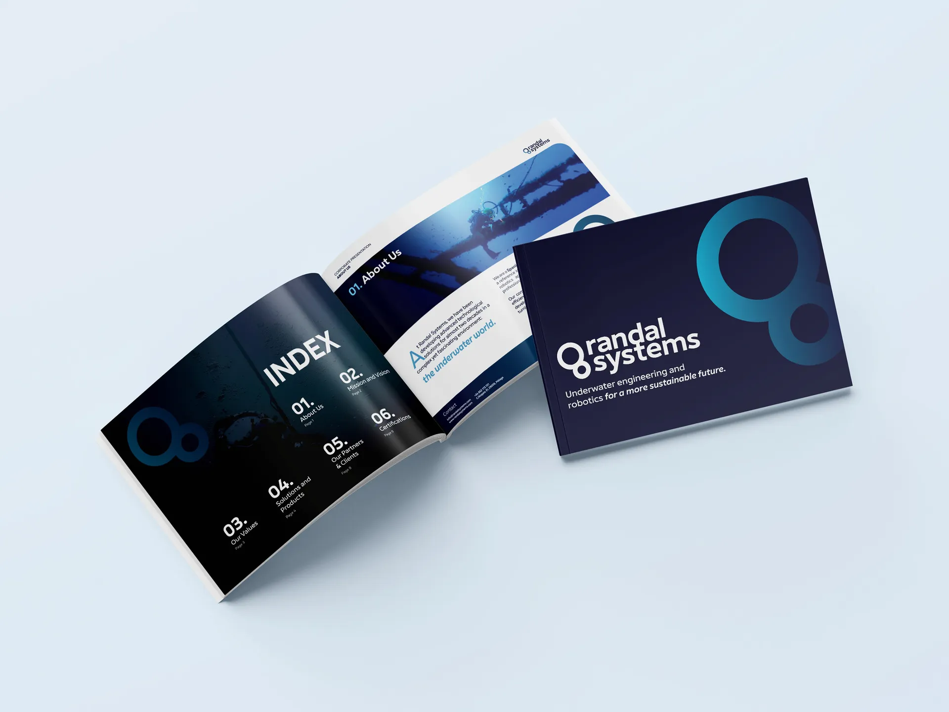 Randal Systems — Detail