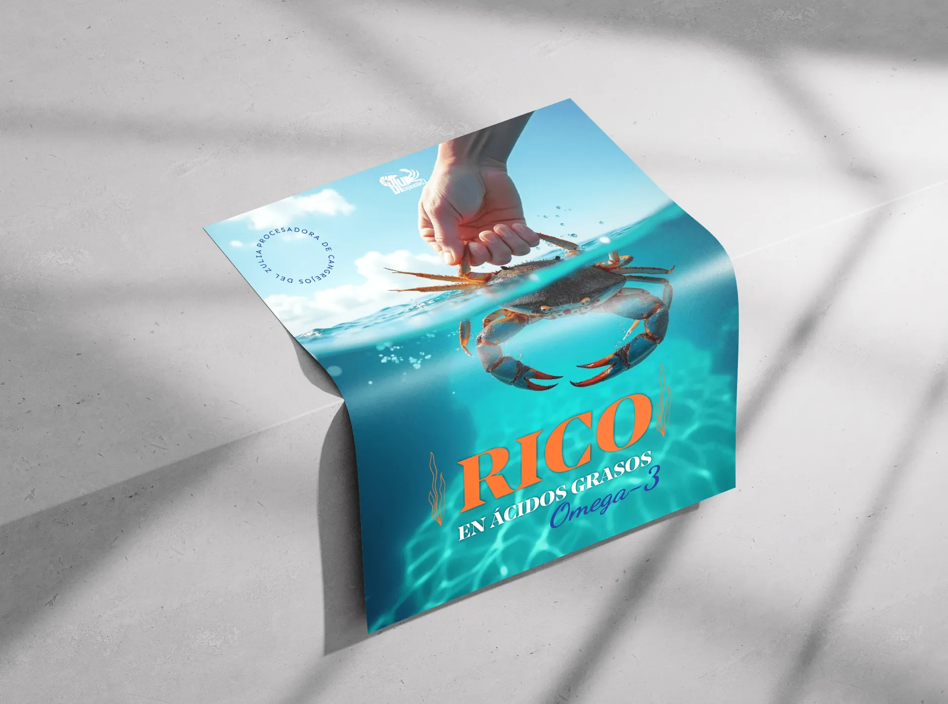 Blu C.A — Complete identity